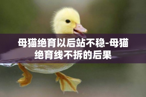 母貓絕育以后站不穩-母貓絕育線不拆的后果