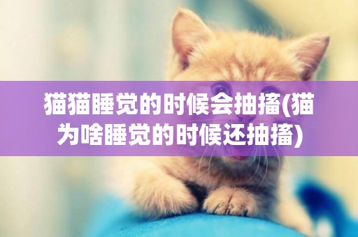 貓貓睡覺的時候會抽搐(貓為啥睡覺的時候還抽搐)