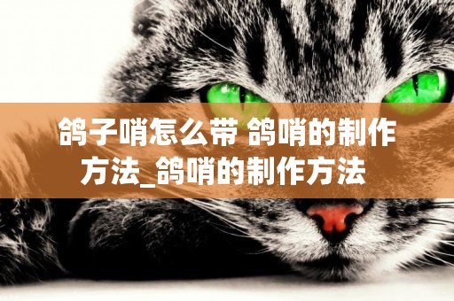 鴿子哨怎么帶 鴿哨的制作方法_鴿哨的制作方法 