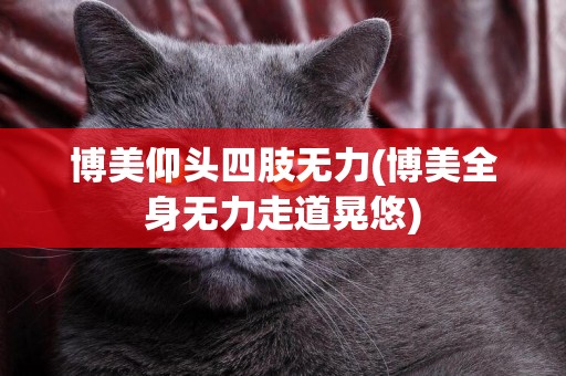 博美仰頭四肢無力(博美全身無力走道晃悠)