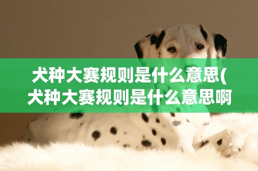 犬種大賽規則是什么意思(犬種大賽規則是什么意思啊)