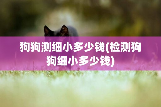 狗狗測細小多少錢(檢測狗狗細小多少錢)