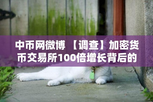 中幣網微博 【調查】加密貨幣交易所100倍增長背后的奧秘 