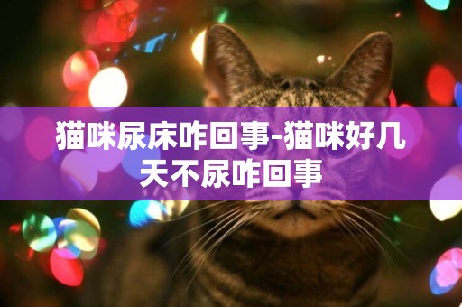 貓咪尿床咋回事-貓咪好幾天不尿咋回事