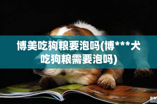博美吃狗糧要泡嗎(博***犬吃狗糧需要泡嗎)