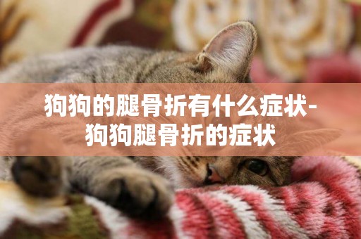 狗狗的腿骨折有什么癥狀-狗狗腿骨折的癥狀