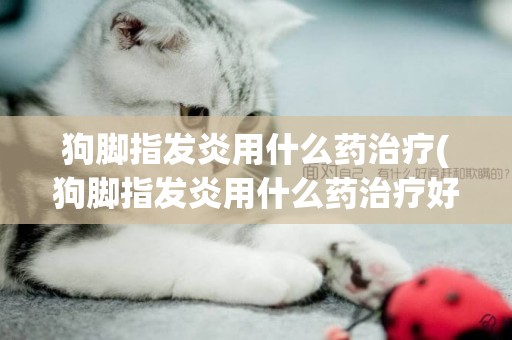 狗腳指發炎用什么藥治療(狗腳指發炎用什么藥治療好)
