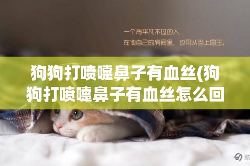 狗狗打噴嚏鼻子有血絲(狗狗打噴嚏鼻子有血絲怎么回事)