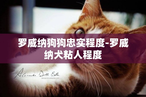 羅威納狗狗忠實程度-羅威納犬粘人程度