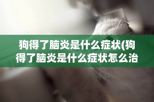 狗得了腦炎是什么癥狀(狗得了腦炎是什么癥狀怎么治療)