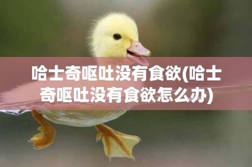 哈士奇嘔吐沒有食欲(哈士奇嘔吐沒有食欲怎么辦)