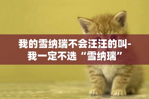 我的雪納瑞不會汪汪的叫-我一定不選“雪納瑞”