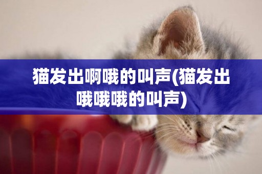 貓發出啊哦的叫聲(貓發出哦哦哦的叫聲)