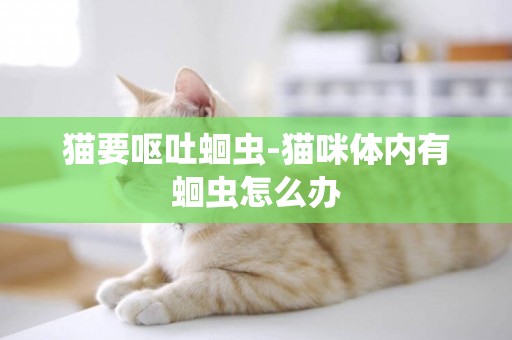 貓要嘔吐蛔蟲-貓咪體內有蛔蟲怎么辦