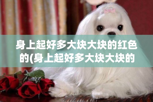 身上起好多大塊大塊的紅色的(身上起好多大塊大塊的紅色的包)