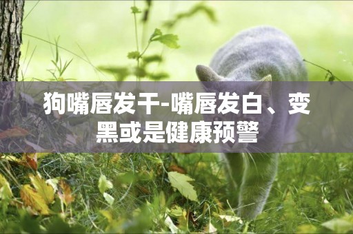 狗嘴唇發干-嘴唇發白、變黑或是健康預警