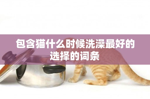 包含貓什么時候洗澡最好的選擇的詞條