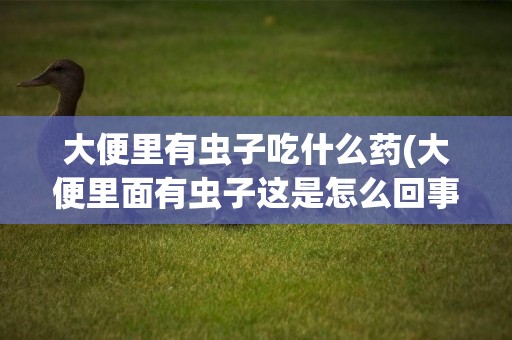 大便里有蟲子吃什么藥(大便里面有蟲子這是怎么回事吃點什么藥呢)