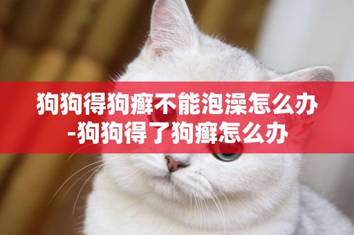 狗狗得狗癬不能泡澡怎么辦-狗狗得了狗癬怎么辦