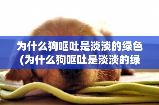 為什么狗嘔吐是淡淡的綠色(為什么狗嘔吐是淡淡的綠色液體)