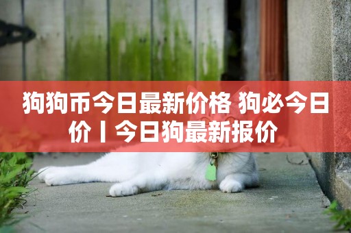 狗狗幣今日最新價格 狗必今日價丨今日狗最新報價 