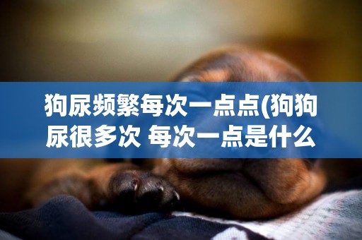 狗尿頻繁每次一點點(狗狗尿很多次 每次一點是什么原因)