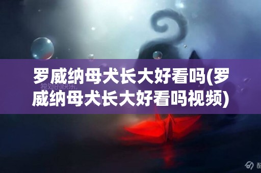 羅威納母犬長大好看嗎(羅威納母犬長大好看嗎視頻)