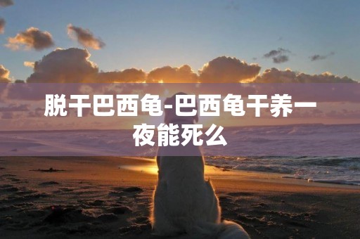脫干巴西龜-巴西龜干養一夜能死么