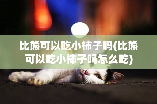 比熊可以吃小柿子嗎(比熊可以吃小柿子嗎怎么吃)