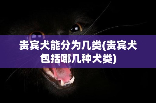 貴賓犬能分為幾類(貴賓犬包括哪幾種犬類)