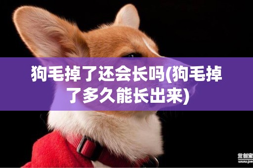 狗毛掉了還會長嗎(狗毛掉了多久能長出來)