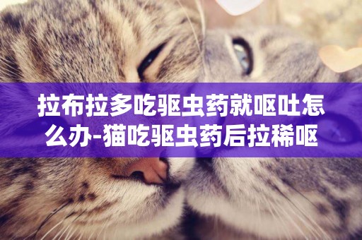 拉布拉多吃驅蟲藥就嘔吐怎么辦-貓吃驅蟲藥后拉稀嘔吐怎么辦