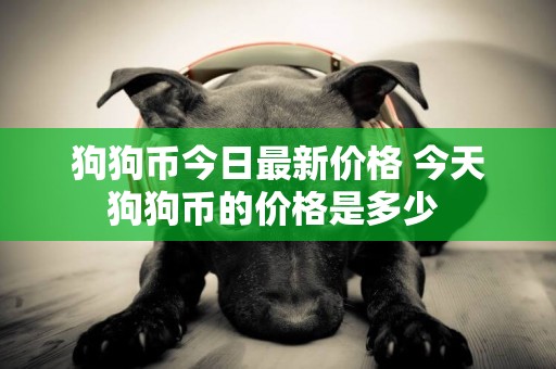 狗狗幣今日最新價格 今天狗狗幣的價格是多少 