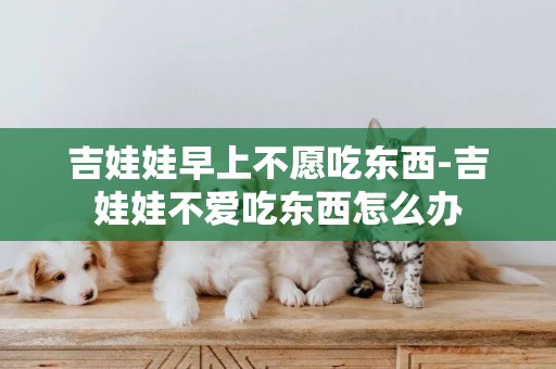 吉娃娃早上不愿吃東西-吉娃娃不愛吃東西怎么辦