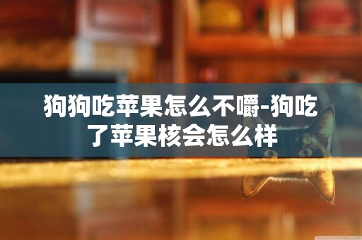 狗狗吃蘋果怎么不嚼-狗吃了蘋果核會怎么樣