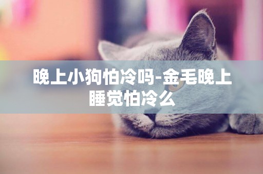 晚上小狗怕冷嗎-金毛晚上睡覺怕冷么