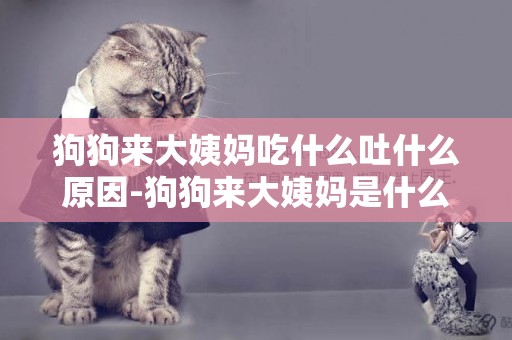 狗狗來大姨媽吃什么吐什么原因-狗狗來大姨媽是什么樣子