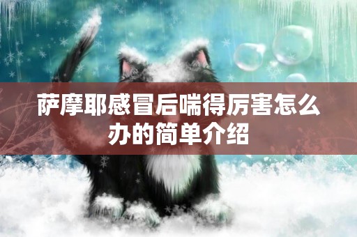 薩摩耶感冒后喘得厲害怎么辦的簡單介紹