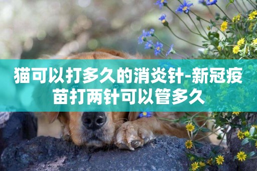 貓可以打多久的消炎針-新冠疫苗打兩針可以管多久