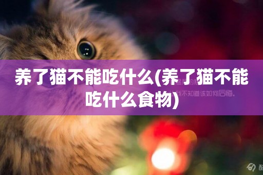 養了貓不能吃什么(養了貓不能吃什么食物)