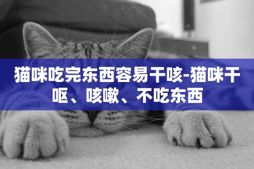 貓咪吃完東西容易干咳-貓咪干嘔、咳嗽、不吃東西