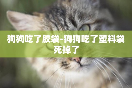 狗狗吃了膠袋-狗狗吃了塑料袋死掉了
