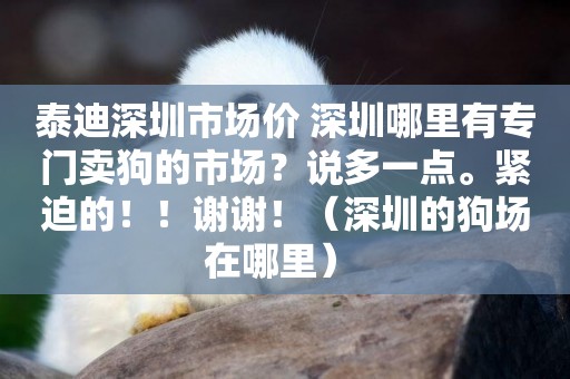 泰迪深圳市場價 深圳哪里有專門賣狗的市場？說多一點。緊迫的！！謝謝！（深圳的狗場在哪里） 