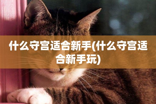 什么守宮適合新手(什么守宮適合新手玩)