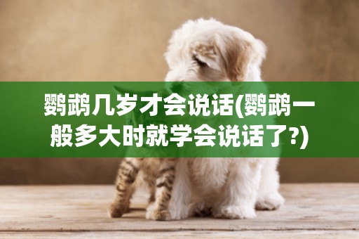 鸚鵡幾歲才會說話(鸚鵡一般多大時就學會說話了?)