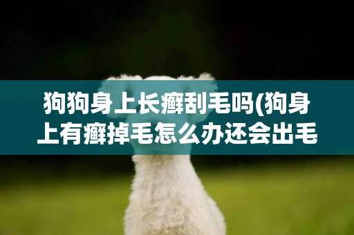 狗狗身上長癬刮毛嗎(狗身上有癬掉毛怎么辦還會出毛嗎)