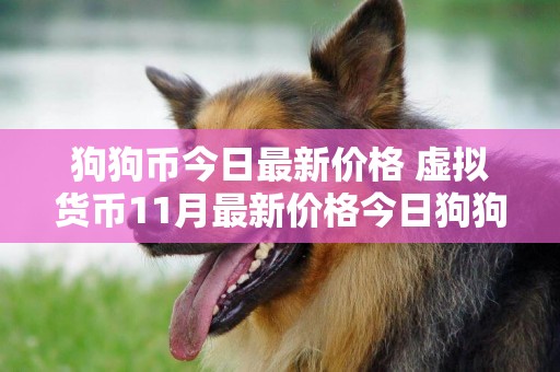 狗狗幣今日最新價格 虛擬貨幣11月最新價格今日狗狗幣最新價格 
