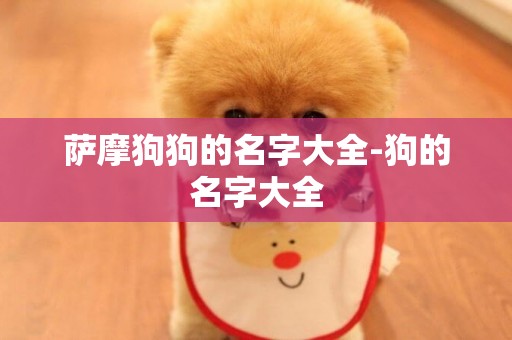 薩摩狗狗的名字大全-狗的名字大全