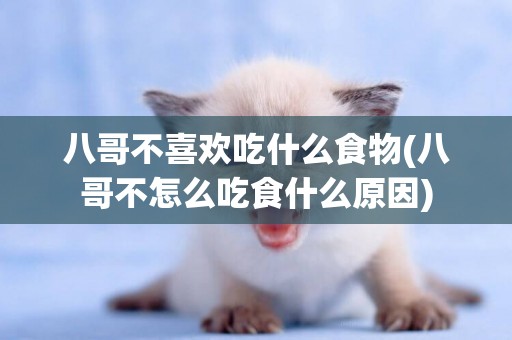 八哥不喜歡吃什么食物(八哥不怎么吃食什么原因)
