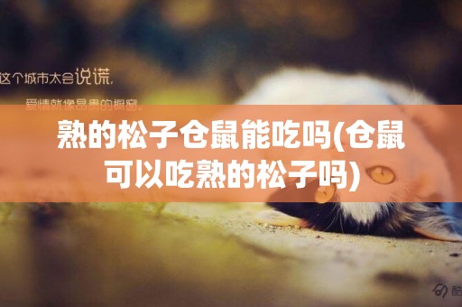 熟的松子倉鼠能吃嗎(倉鼠可以吃熟的松子嗎)